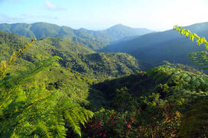 Primer Patrimonio Mundial para Jamaica