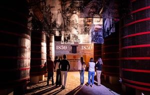 Ruta por el mejor enoturismo en La Rioja