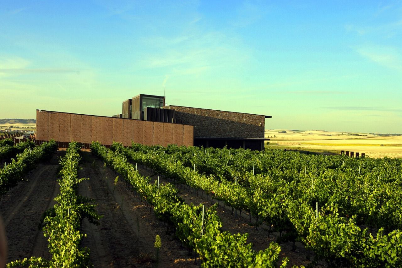 Bodegas Arlanza