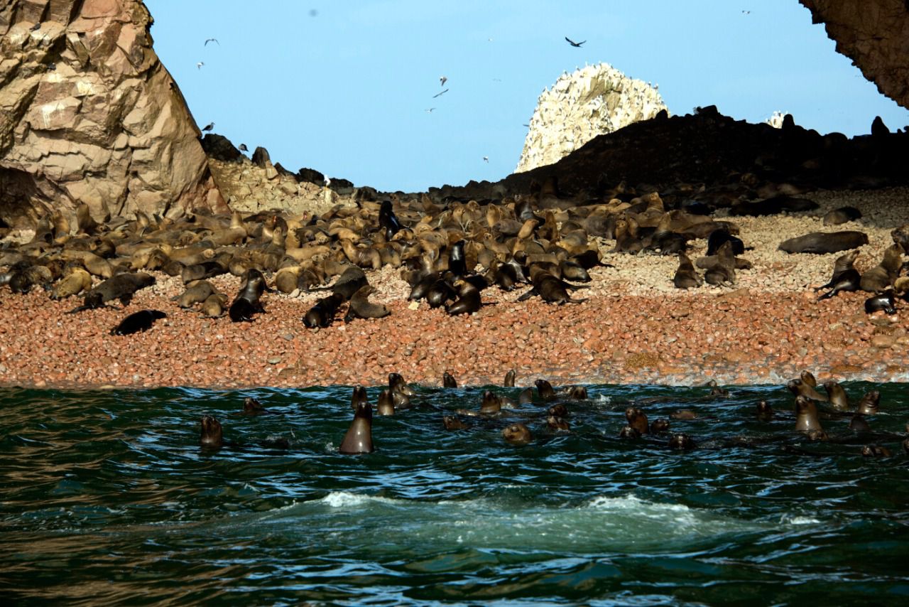 Islas Ballestas