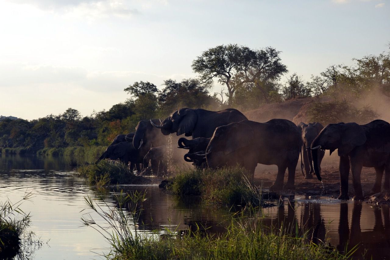 Sudáfrica. Parque Nacional Kruger