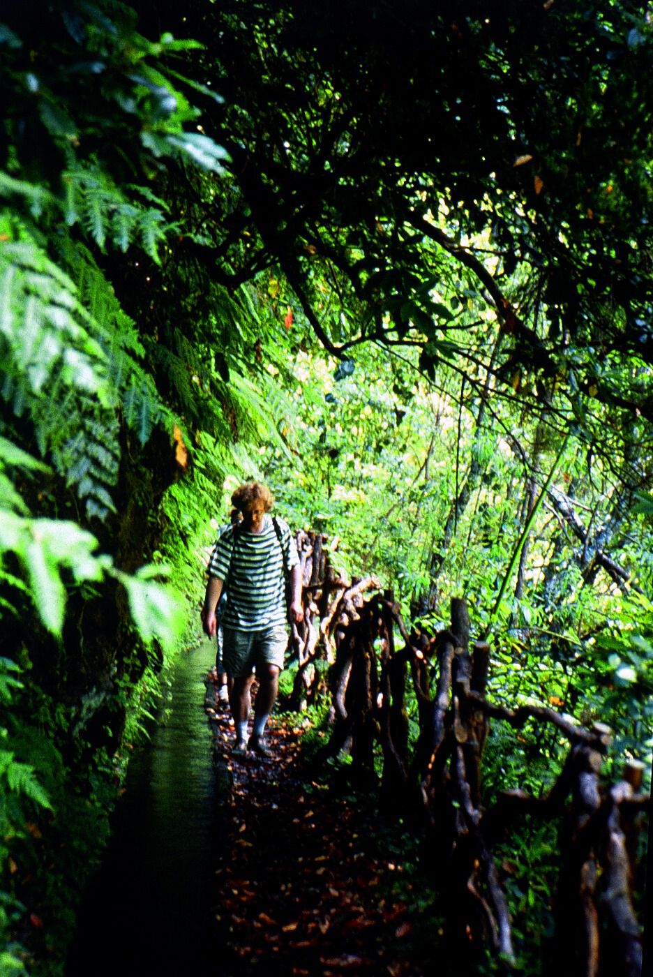 Vereda da Ilha Autor: Visit Madeira