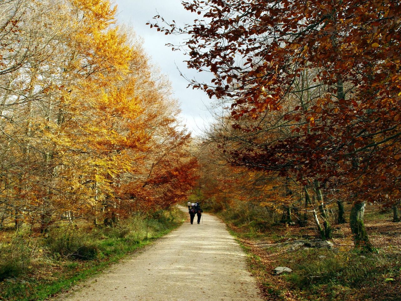 Paseo de otoño por el monte Santiago