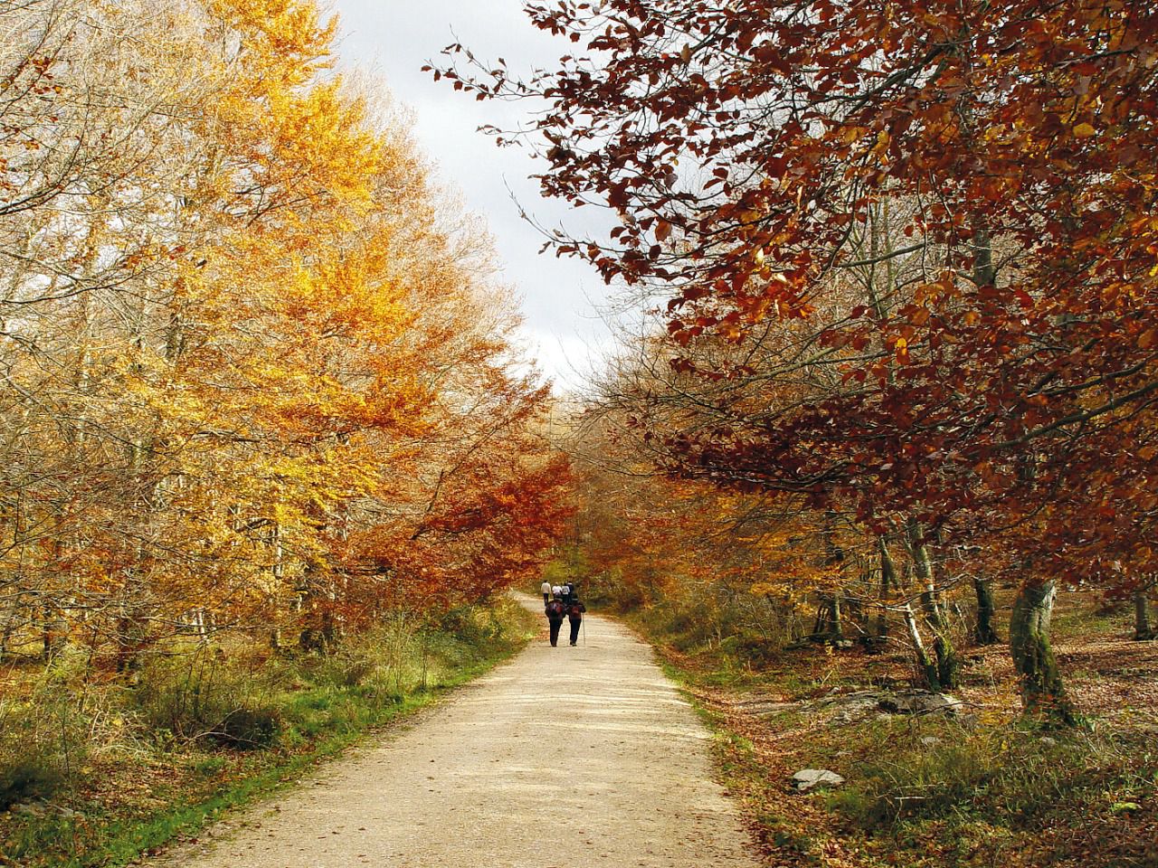 Paseo por el Monte Santiago