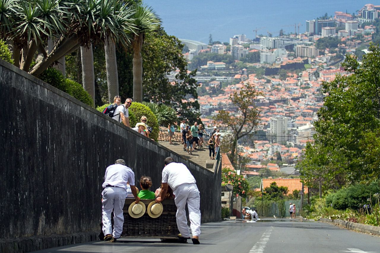 Carreiros do Monte @miguelmoniz