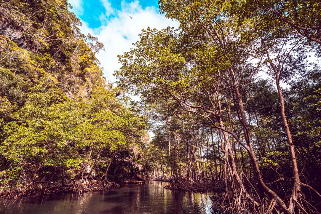 Parque Nacional de Los Haitises