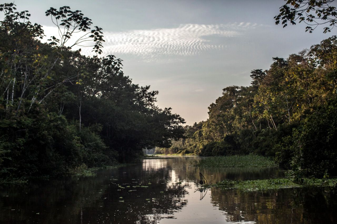 Reserva Nacional Pacaya Samiria