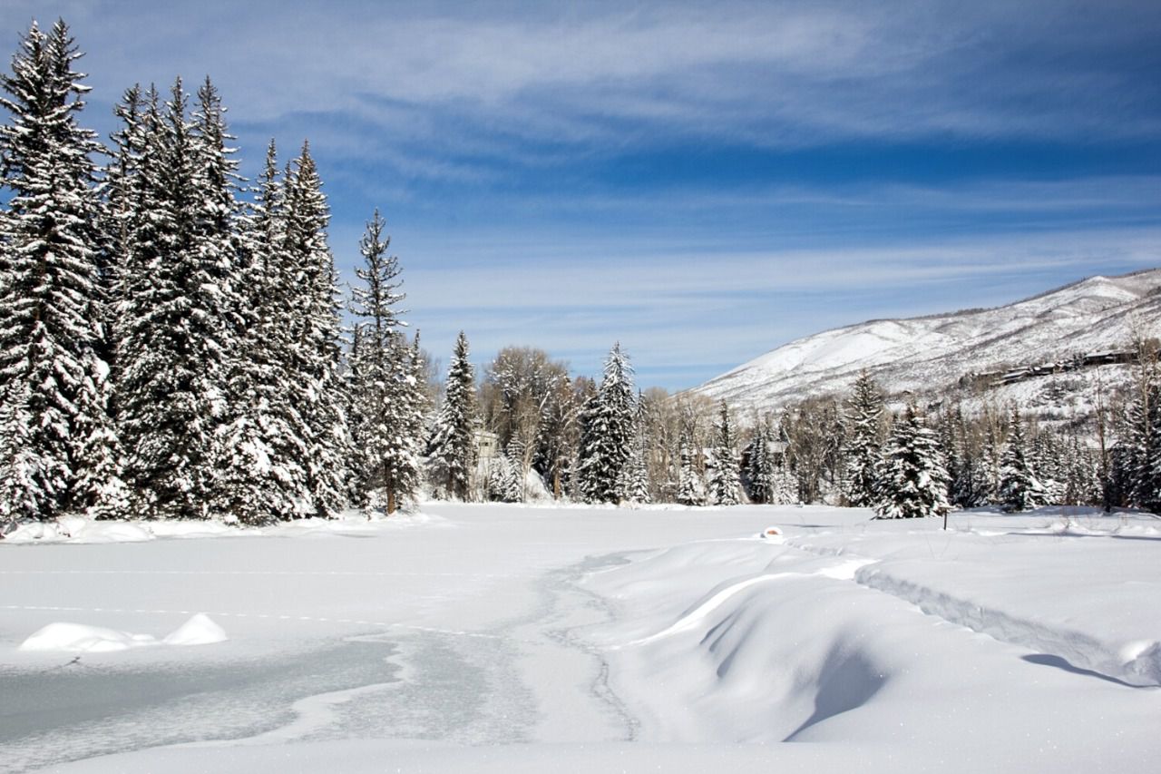 Aspen