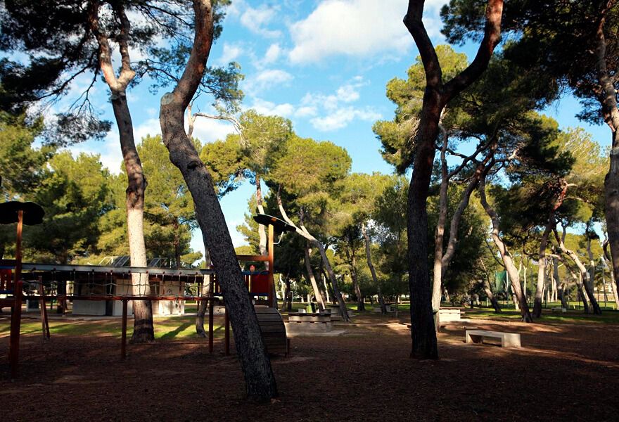 Parque El Pinar, reducto de bosque mediterráneo