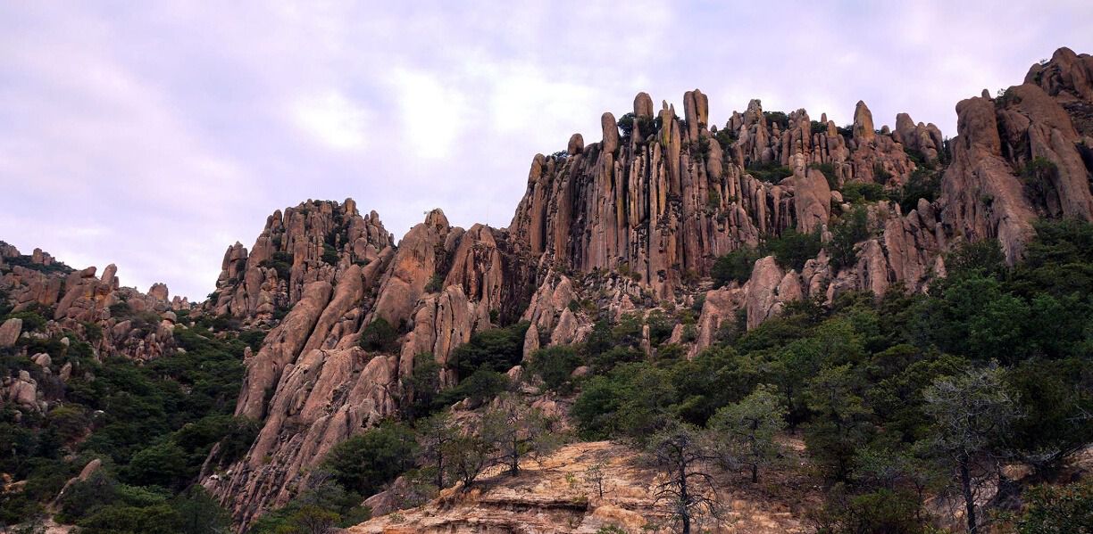 Zacatecas. Sierra de Cardos