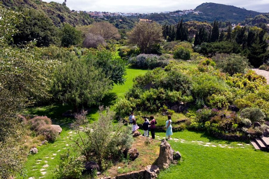 Jardín Botánico Viera y Clavijo. Zona Tafira