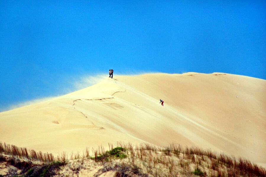 Cabo Polonio