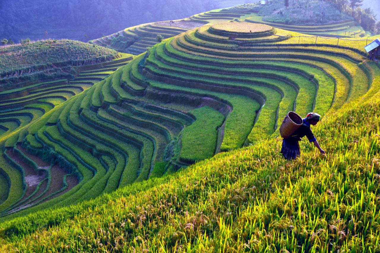 Montaña (Vietnam)