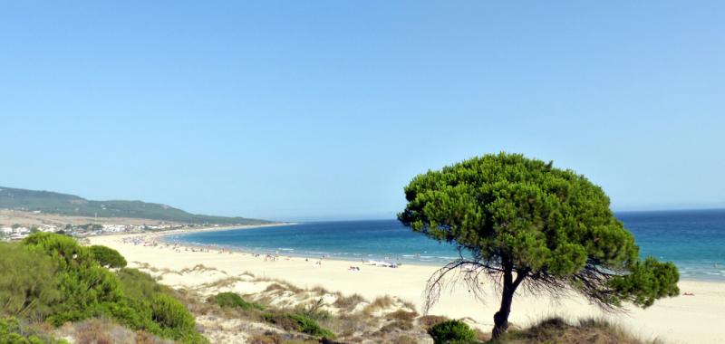 Playas de España 