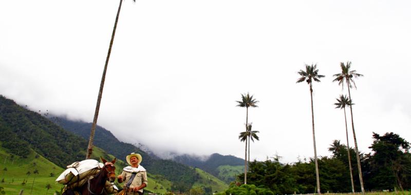 Colombia