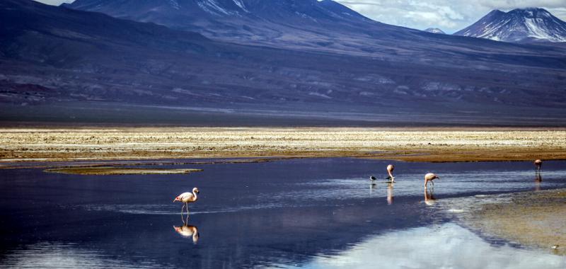 Desierto de Atacama