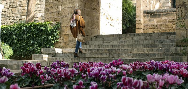 Parques y jardines de Palma de Mallorca 