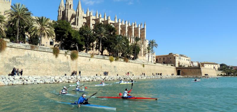 Parques y jardines de Palma de Mallorca 