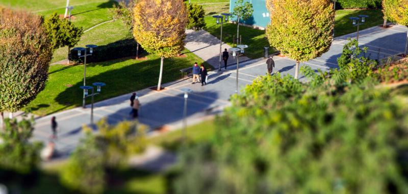 Parques y jardines de Palma de Mallorca 