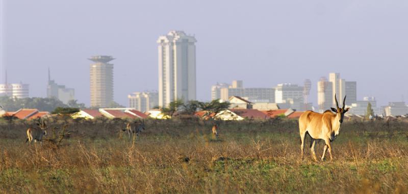 Ciudad de Nairobi