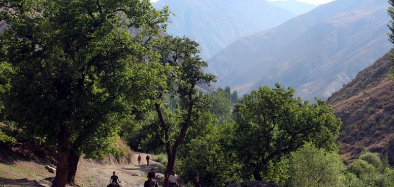 Cordillera  del Pamir