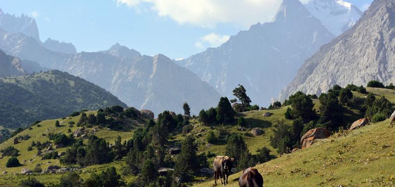 Cordillera  del Pamir