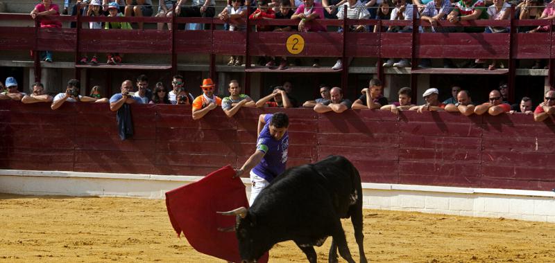 Medina del Campo 