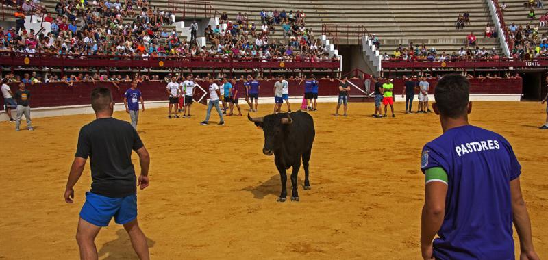 Medina del Campo 