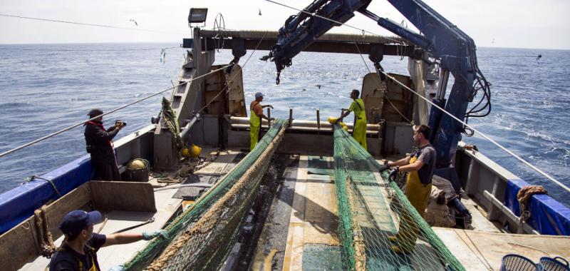 Pescaturismo