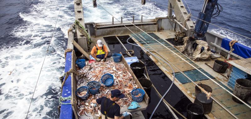 Pescaturismo