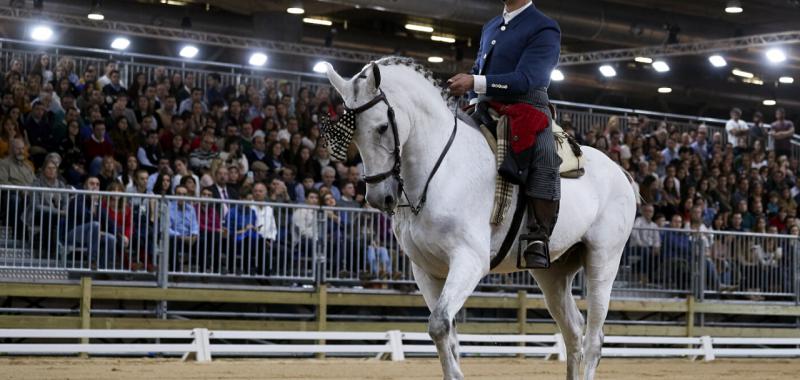 Ifema Madrid Horse Week