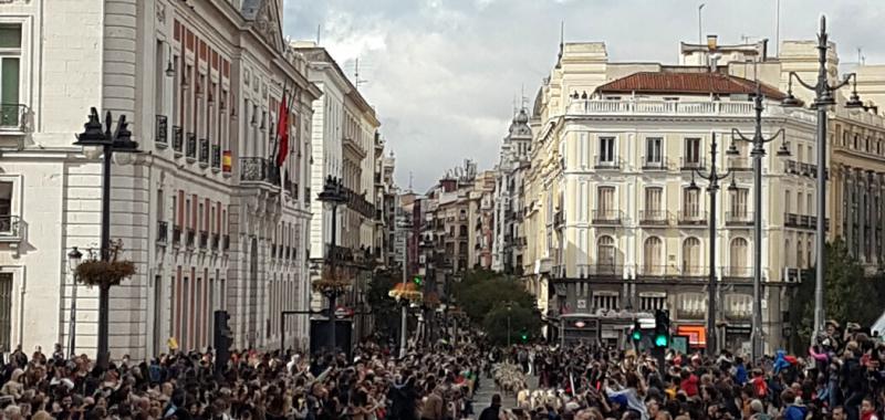 Fiesta de la Trashumancia 2019 