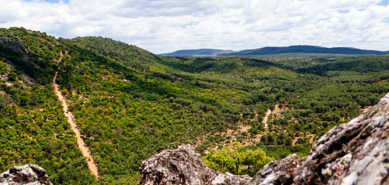 Reserva de la Biosfera de La Siberia 