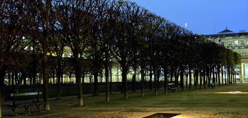 Gardens of Light I Palais Royal