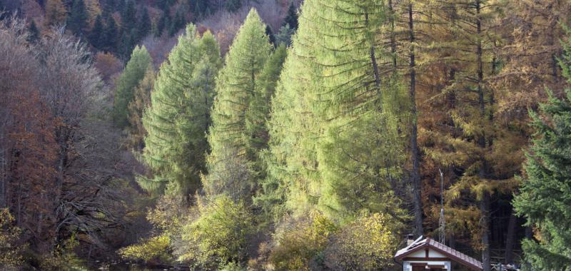 Otoño en Navarra