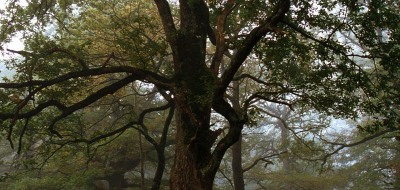 Otoño en Navarra