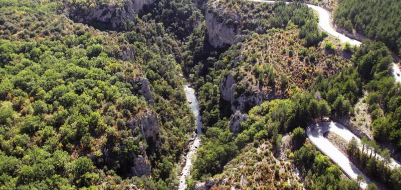 Otoño en Navarra