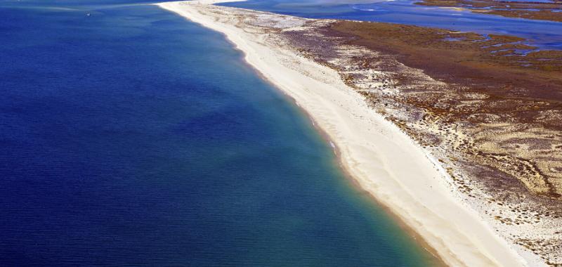 Playas del Algarve 