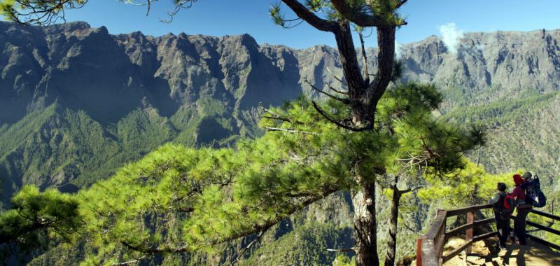 Miradores de La Palma 