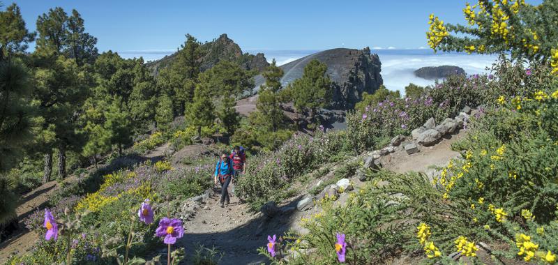 La Palma 