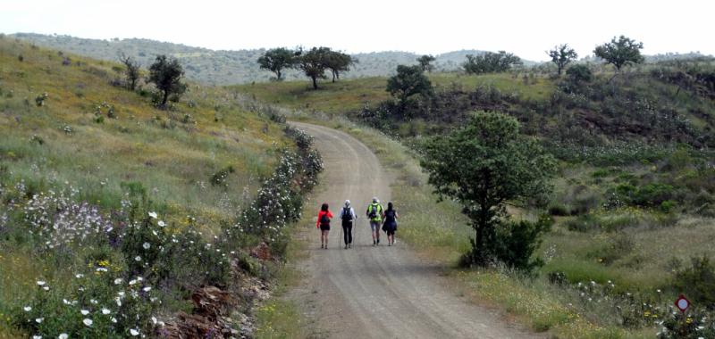 Rutas de senderimso 