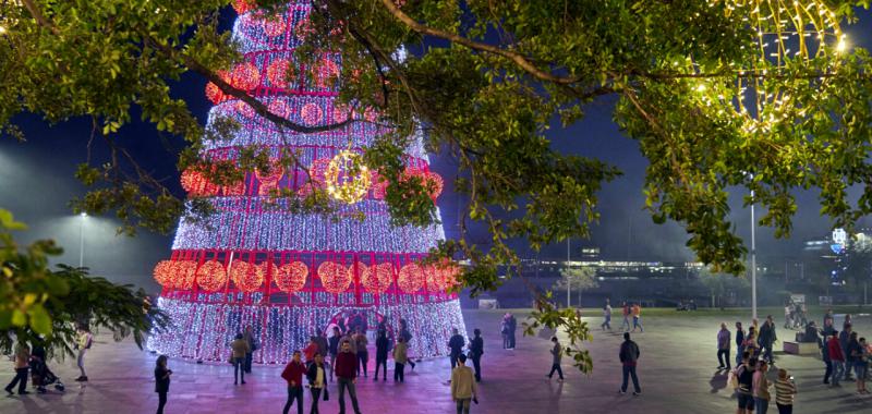 Madeira, una Navidad con luces