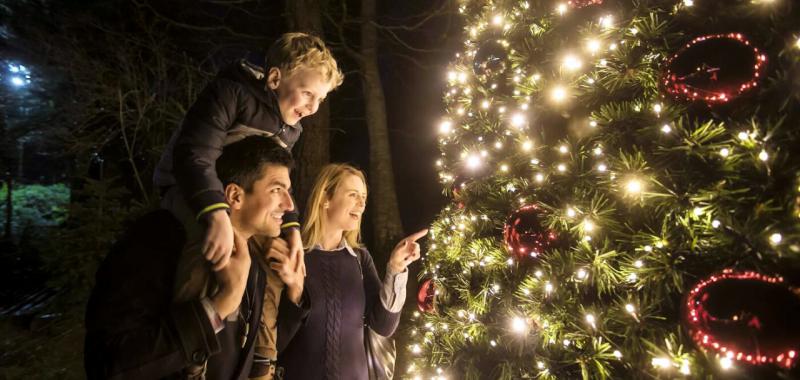 Tradiciones navideñas  en Irlanda  