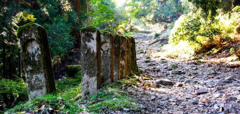 Kyoto Round Trail 