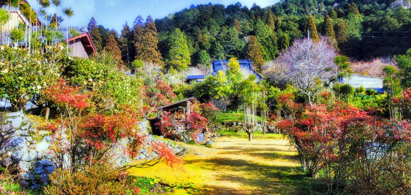 Kyoto Round Trail 