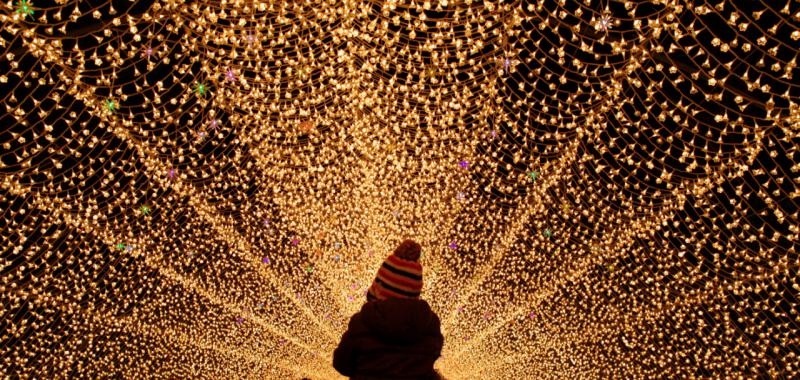 Iluminación de invierno en JapónIluminación de invierno en Japón 