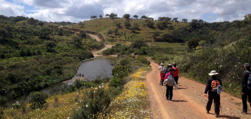 Rutas ciclistas por el Algarve 