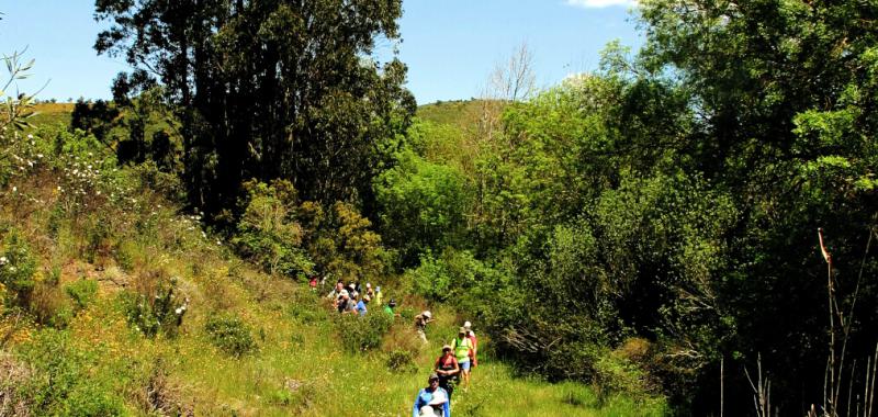 Rutas ciclistas por el Algarve 