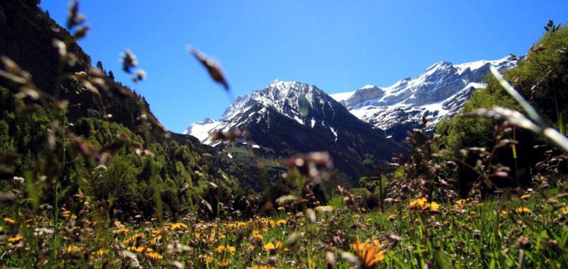 Alojamientos al aire libre 