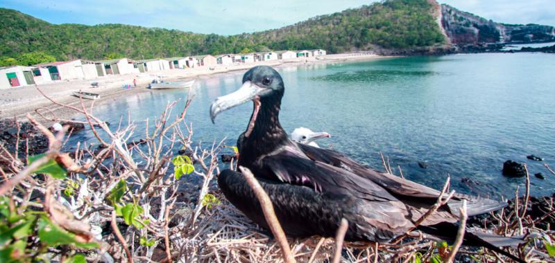 Riviera Nayarit 